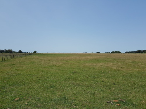Imagen 6 de 9 de Campo En Venta. Gral Belgrano. Bs As.