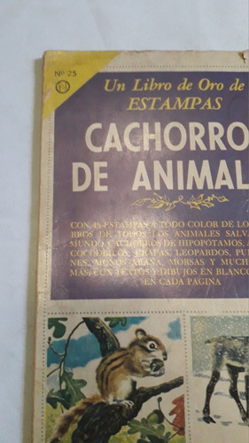 Album Figurita * Libro Oro Estampas Cachorros De An * Novaro (Usado)