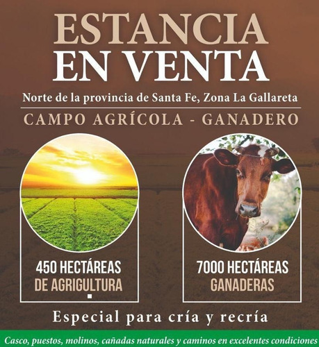 Imagen 1 de 16 de Estancia En Venta (campo Agrícola Ganadero) - La Gallareta, Sta Fe