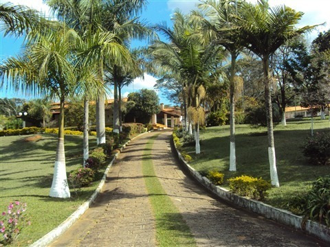 Imagem 24 de 30 de Area - Ar00019 - 1515828