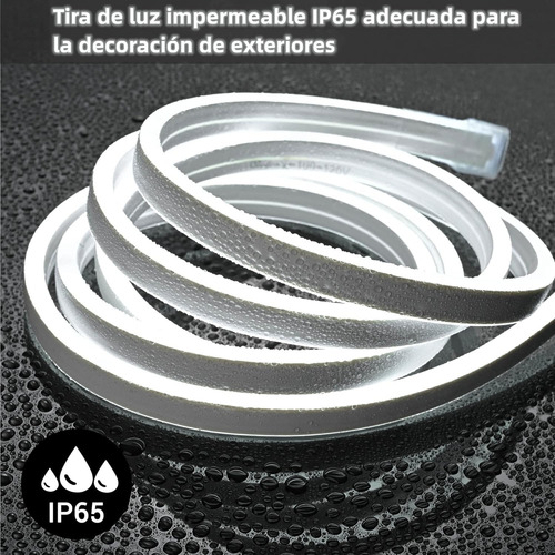 Tiras De Led Neón Luz Flexible Unicolor 5 Metros Cortar 12v Blanco Frío