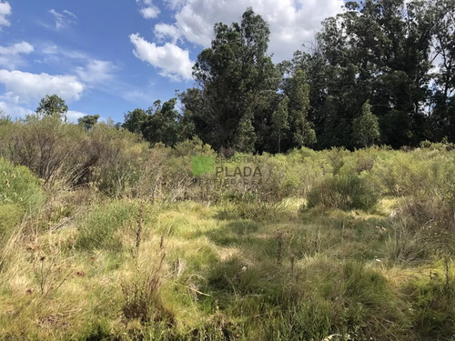 Lote Esquinero 1229 Metros Cobre Camino Eguzquiza En Venta En El Tesoro