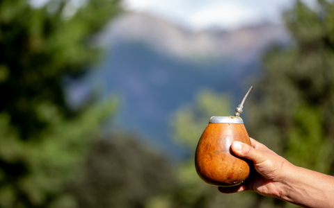 ¿Como preparar un buen Mate Argentino?
