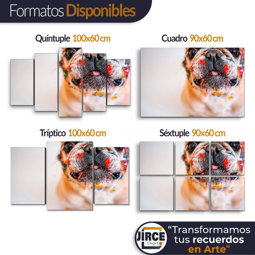 Cuadro Decorativo Moderno Perro Buldog Fránces Jd 0026 G Quíntuple 100x60 Cm Sin Marco