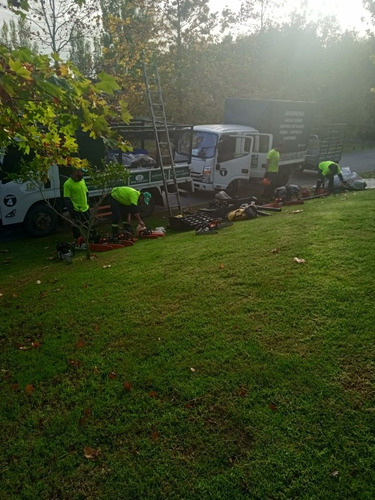 Imagen 2 de 10 de Jardineria, Areas Verdes, Podas, Empresa Reglamenta Sedilor