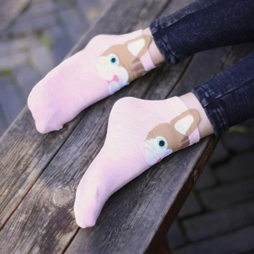 Tines Kawaii Calcetines De Perrito Tines De Perrito 3 Piezas Variados Estampado Único