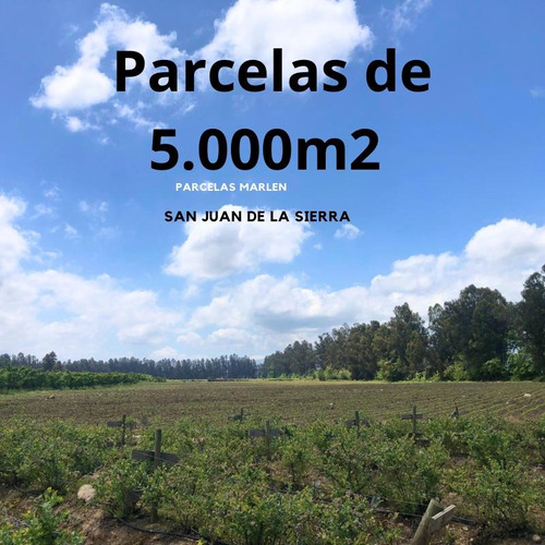 Ventas Terenos Agricolas San Juan De La Sierra 