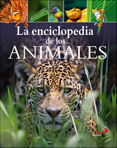 La Encilopedia De Los Animales - Leach, Michael/lland, Merie