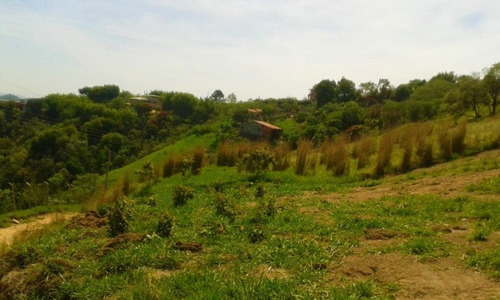 Imagem 4 de 5 de Terreno A Venda No Bairro Vitória Régia - Atibaia, Sp - 315