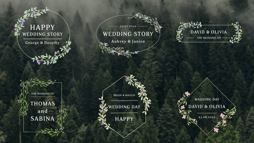 Titulos Animados Para Video De Casamento - Ae Template