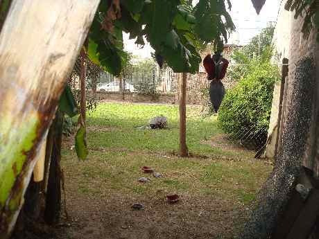 Imagen 14 de 14 de Chalet En Venta En Ituzaingo Norte