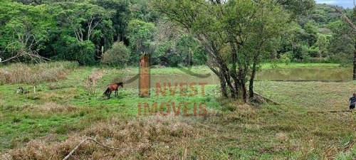 Imagem 5 de 10 de Terreno - Ref: 6309 - V-6309