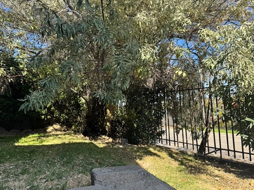 Teresita Vial / El Molino