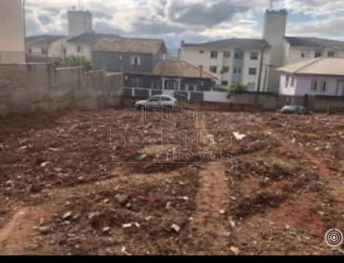 Terreno A Venda No Bairro Jardim Itaguacu Em Florianopolis - V-80934