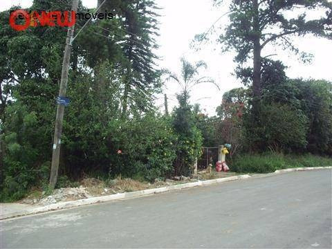 Imagem 4 de 7 de Terreno Residencial À Venda, Vila Nova Bonsucesso, Guarulhos - . - Te0028