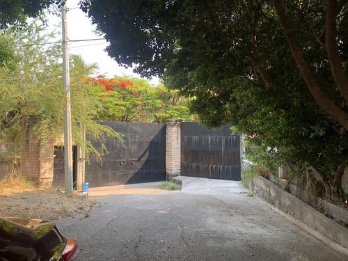 Imagen 11 de 30 de Terreno - Palo Escrito