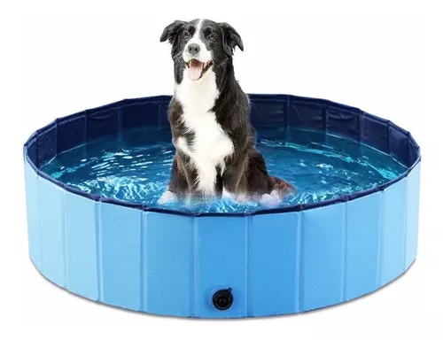 Piscina plegable para perros Bañera bañera para mascotas Piscina cubierta  plegable al aire libre para perros Gatos Piscina para niños