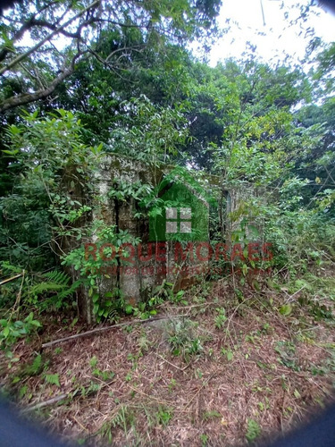 Imagem 6 de 30 de Terreno À Venda Em Iguape Sp Medindo 4 Alqueires Paulista Ref0940