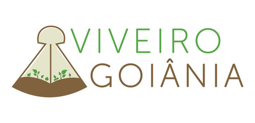 Muda De Pata De Vaca Branca (medicinal) Reflorestamento
