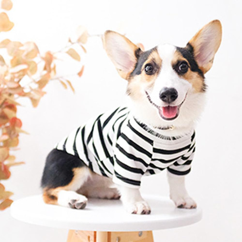 Suéter De Perros De Otoño Aniac Para Camisa De Perro A Rayas