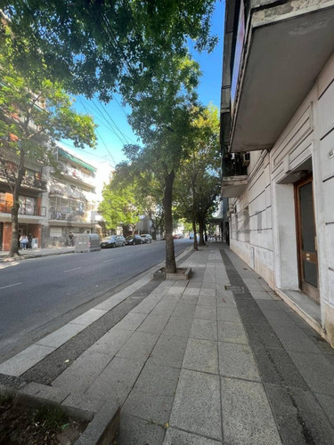 Imagen 8 de 30 de Venta Dpto 5 Amb. Amplios Balcón Frente Luminoso Doble Ingreso Floresta
