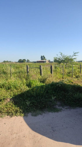 Campo Mixto De 784 Ha En Fernandez, Santiago Del Estero