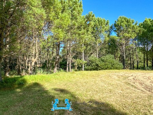 Venta Lote - 1700 M². - Costa Esmeralda Barrio Residencial I Arbolado