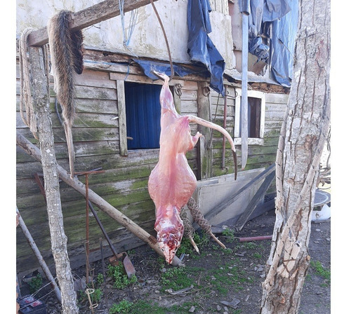 Imagen 12 de 15 de 18 Hectareas En Villa Paranacito Ideal Ganadero O Plantacion