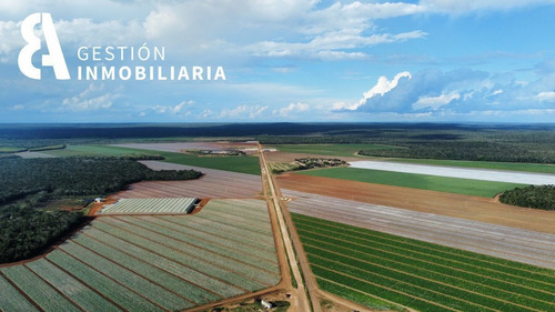 Imagen 2 de 11 de Terreno En Venta 1200 Hectareas Tekax, Yucatán. Ctv16.
