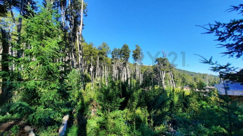 Imagen 21 de 22 de Venta Lote 1700 M2 En Bosque Villa La Angostura