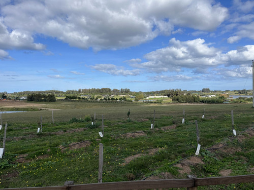 Quinta En Venta En Narbona La Plantación