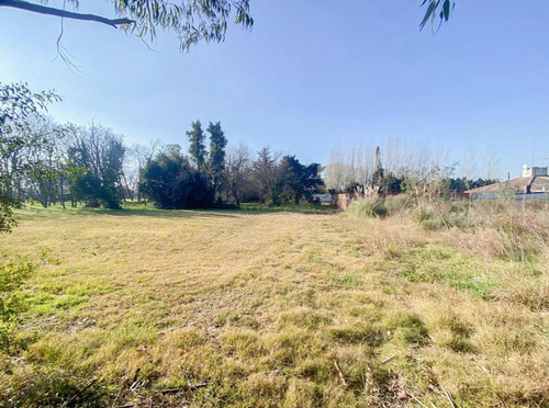 Imagen 5 de 5 de Terreno - Lisandro Olmos Etcheverry