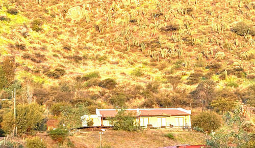 Preciosa Parcela En Buin Con Conectividad A Carretera