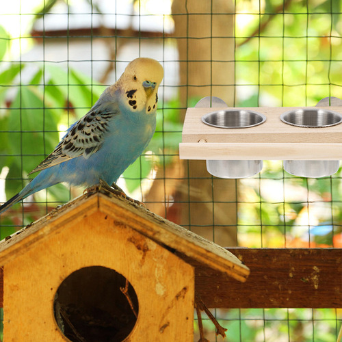 Plato De Alimentación Para Pájaros, Alimento Para Loros Y Pá