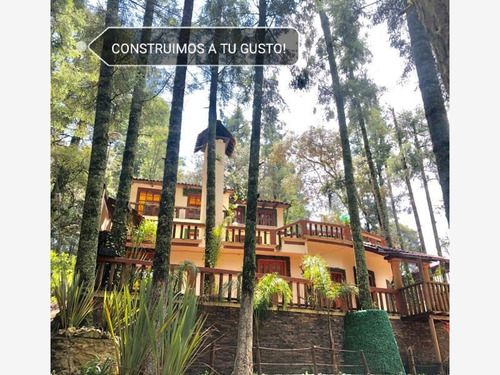 Imagen 5 de 12 de Terreno En Venta Dentro De Impresionante Bosque, Tenemos Lotes Escriturados!