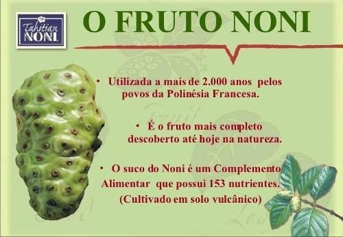 Noni Fruto Medicinal Para Tratamentos Diversos Cons O Google