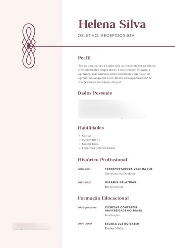Currículo Profissional Elaboramos Para Você
