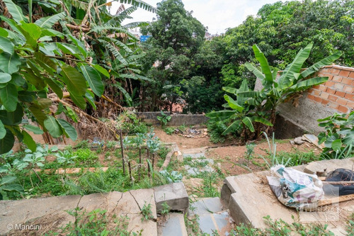 Imagem 3 de 9 de Lote À Venda No Sagrada Família - Código 273024 - 273024