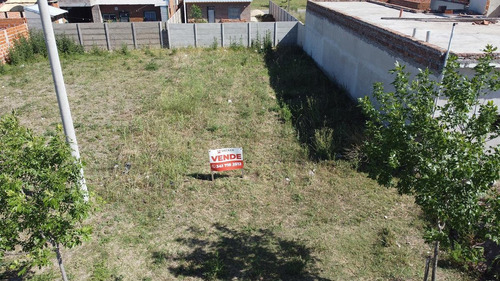 Imagen 3 de 10 de Los Lapachos - Lote 103 - 200 M2