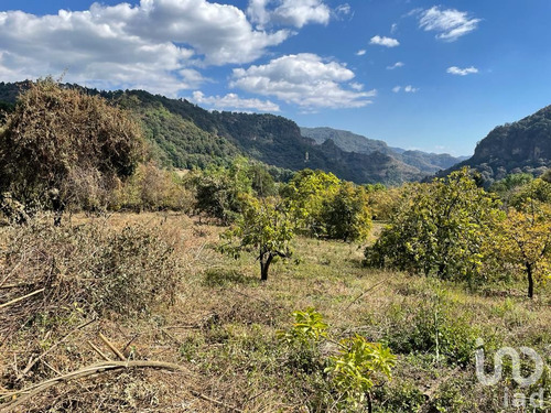 Venta Terreno 0 Ambiente Ocuilán De Arteaga