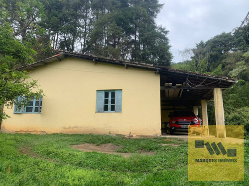 Imagem 12 de 15 de Sítio Em Taiacupeba - Mogi Das Cruzes - 4198