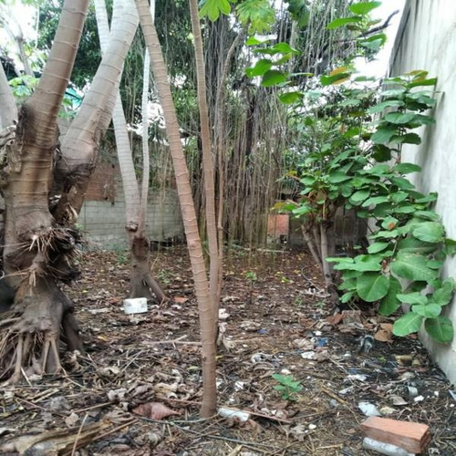 Imagen 9 de 10 de Vendo Local Con Terreno En Plena Av. Bolívar, Centro Maracay