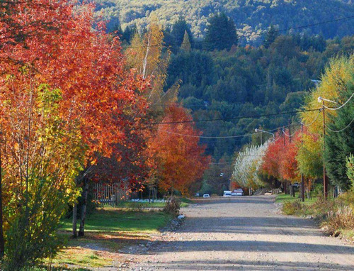 Imagen 18 de 29 de Exclusivo Lote V. La Angostura C/acceso Al Lago Nahuel Huapi Y Muelle, Apto 2 Uf