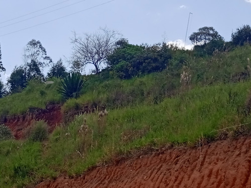 Imagem 6 de 11 de Pf O Terreno Q Voce Sempre Imaginou, Agora Mais Barato.