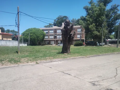 Floresta Excelente Terreno En El Centro De Floresta