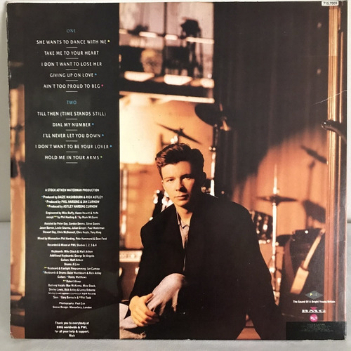 Lp Rick Astley - Hold Me In Your Arms