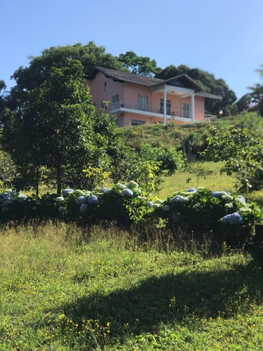 Imagem 7 de 10 de Sítio Maravilhoso Em P A/rs, Com 15.000mq Por 1.500.000,00