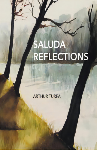Saluda Reflections, De Turfa, Arthur. Editorial Finishing Line Pr, Tapa Blanda En Inglés