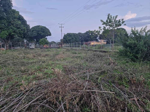 Imagen 9 de 15 de Terreno Sábana Del Medio
