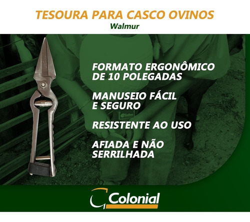 Imagem 3 de 5 de Tesoura P/ Casquear Ovelhas Aço Walmur Casco Ovinos Caprinos